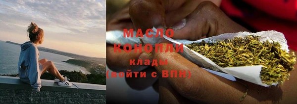 гашик Осинники