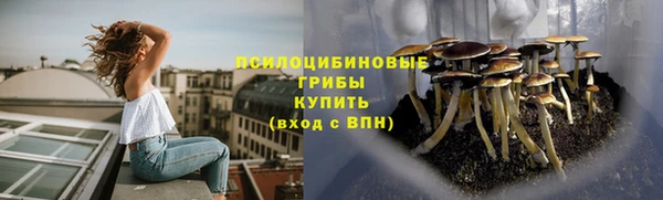 гашик Осинники