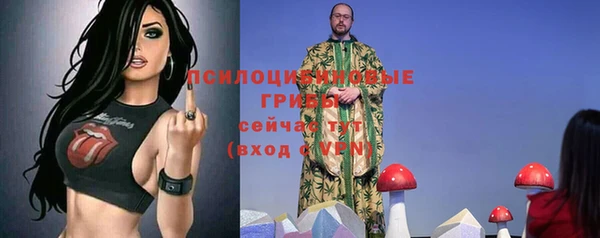 гашик Осинники