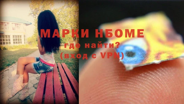 гашик Осинники