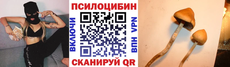 Купить где  Мостовской  Псилоцибиновые грибы мухоморы 